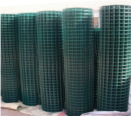 Anping PVC coated Galvanized Welded Wire Mesh used in bird cages