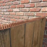Anti-corrosion and anti-static Plastic bird spikes anti pigeon