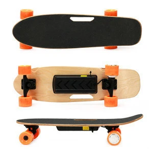 ANZO-03 300W 300W 7 PLY Maple Range Lithium Battery cheaper Single Motor and dual motor Electric Skateboard