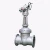 Import API Cast Steel Fill Thermostatic Sanitary Gate Valve from China