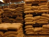 Arabica Coffee Beans Wholesaler and Wholesale