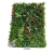 Import Artificial Living Wall With Moss Base Plastic Green Wall For Wall Decoration from China