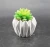 Import Artificial Succulents Pulp basin Plants Potted Small Pot Planter HomeDecor Desktop Ornaments from China