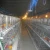 automatic A type chicken cages for poultry chicken cages