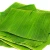 Import Banana leaf :FRESH BANANA LEAVES FROM VIETNAM READY TO EXPORT from Germany