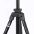 Import BENRO T560 1.43 Meter Max Height 2.5KG Max Load Professional Tripod Stand Camera Video Tripod from China