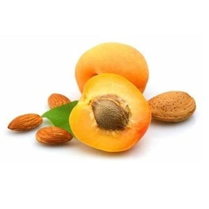 BEST PRICE HIGH QUALITY FRESH RAW APRICOT KERNEL FOR SALE