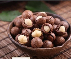 Best Price shelled Macadamia nuts price/ bulk Macadamia for sale