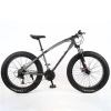 Best Quality 20 inch fat mountain bike/ fat tire bikes for youth/Super mountain bike with fat tires