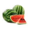 Best Quality Fresh Watermelon Indian Fruits and vegetables Exporter