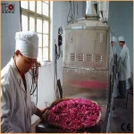 Best quality tea dehydrator with CE