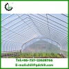 Big size transparency and perfect toughness plastic film for greenhouse