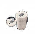 Biodegradable Eco-friendly Straw wheat coffee cup fashion simple style creative advertising cup Double malt cups gift