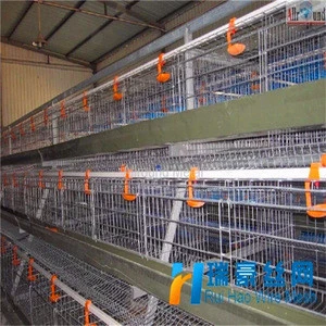 Bottom price hot sale layer battery chicken cage for egg