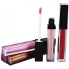 Boya Beauty Wholesale Lipstick Lip Gloss Make Your Own Lip Gloss No Label Liquid Matte Lippies