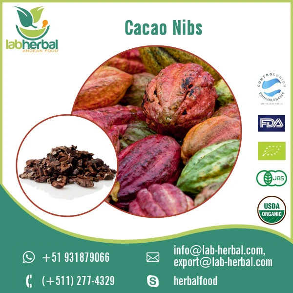 Bulk Quantity Supplier of Organic Raw Cacao Nibs