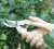 Import Carpentry Cutter Garden Trimming Pruner Scissors from China