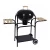 Import Cart portable charcoal smokeless grill bbq weber from China