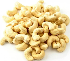 Cashew Nuts /High Quality Cashew Brazil Origin