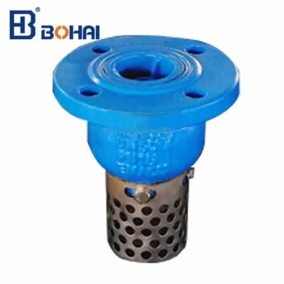 Cast Iron Flanged End Price List Foot Valve