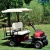 Import Ce Heavy Duty High Power Foldable Mini Golf Cart for 2-4 People from China