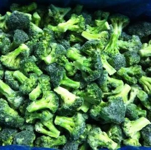 Cheapest Price High Quality Fresh Broccoli