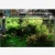 Import Chihiros A Series Aquarium LED Lighting 8000K Fish Tank Water Plant Growing Light Intelligent Lighting Timming Dimming Controler from China