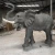 Import China Factory Seller Custom garden decoration animal sculpture fiberglass elephant statue from China