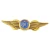 Import China New Hot Custom Metal Badge Lapel Small School Pilot Pins Wings from China
