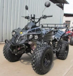 China supplier 50cc/110CC snowmobile