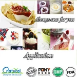 China Top Sales Frozen Yogurt Powder Mix