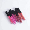 chinese cosmetics manufacturer private label custom baton matte or glossy long lasting waterproof liquid lipstick lip gloss