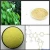 Import Chinese Herb Epimedii Medicine Natural Aphrodisiac Epimedium Extract Powder With 3%-40% Irariin from China