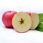 Chinese New Crop Fresh Apple
