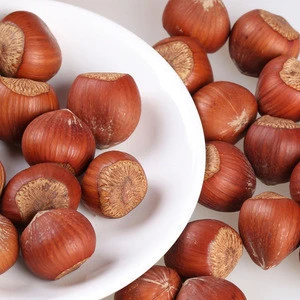 Chinese suppliers Hazelnut kernels/Hazelnut in shell/ Organic hazelnut