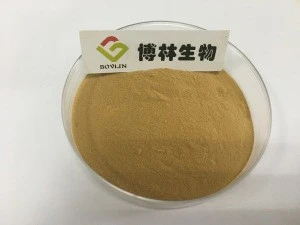 Chinese Traditional Herb Fresh Great Burdock Root Extract, Achene Plant Extract in Bulk Powder