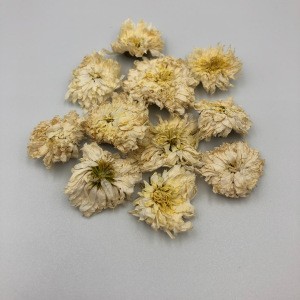 Chinese traditional Tribute chrysanthemum flower(Huangshan Gongju) chrysanthemum tea