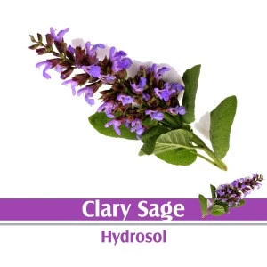 Clary Sage Hydrosol 100% Pure And Natural