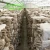 Import commercial greenhouse for mushroom growing from China