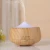 Import Cool Mist Adjustable 7 Colors Rainbow LED lighting Wood Grain Design 250ml Aromatherapy Diffuser from China