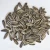 Crop sunflower seed 5009 market price for sale with export sunflower seeds
