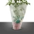 Import Custom Cardboard Block Header CPP Transparent Potted Plant Sleeves from China