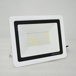 Direct Factory Cheap Price High Quality Driverless White 6500K 100w Outdoor Floodlight for Bridge Lighting Project