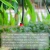Import DIY Drip Irrigation Kit Plant Watering System for Garden Greenhouse Flower Bed Patio Lawn from China