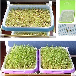 Double Layer Bean Sprouts Plate Seedling Tray Planting Dishes Growing Wheat Seedlings Nursery Pots Home Garden Plant Tools