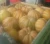 Import egyptian fresh pumpkin high quality (A) from Egypt