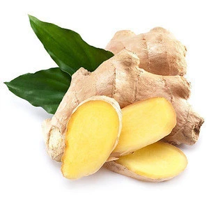 EXW Price ginger extract powder water soluble ginger extract 5% gingerols