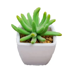 factory cheap wholesale mini cactus assortment indoor decorative artificial succulent plants in flower pots for sale