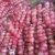 Import Factory direct sell red onion price fresh red onion price 1 ton from China