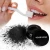 Import Factory price white cleaning dental black bamboo charcoal whitening tooth powder from China